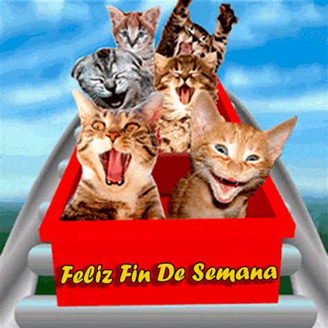 feliz fin de semana gif